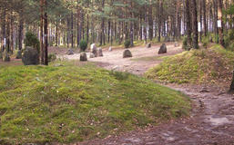Cmentarzysko w Węsiorach