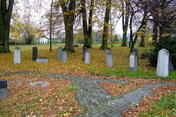 Cmentarz żydowski w Wilamowicach; Fot. aut. Pimke, udostępnione na wikipedia.pl 28.10.2007 na licencji Creative Commons.