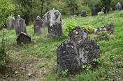Cmentarz żydowski w Chęcinach; Fot. autorstwa Nikodema Nijakiego, udostępnione na wikipedia.pl 07.09.2012 na licencji Creative Commons.