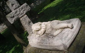 800px-P5050068_skalowane