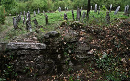 Sesja fotograficzna na cmentarzu żydowskim w Chęcinach 