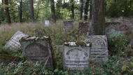 Cmentarz żydowski w Szczebrzeszynie; Fot. autorstwa Lysego, udostępnione na commons.wikimedia.org 21.09.2011 na licencji Creative Commons