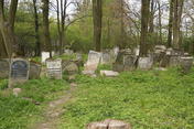 Cmentarz żydowski w Szczebrzeszynie; Fot. autorstwa Rafała Klisowskiego, udostępnione na commons.wikimedia.org 29.05.2007 na licencji Creative Commons