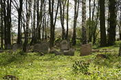 Cmentarz żydowski w Szczebrzeszynie; Fot. autorstwa Rafała Klisowskiego, udostępnione na commons.wikimedia.org 29.05.2007 na licencji Creative Commons
