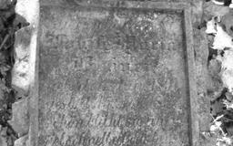 Płyta nagrobna Luizy Marii Brauer na cmentarzu poniemieckim w Bojadłach